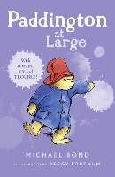 Book Cover for Paddington at Large by Michael Bond