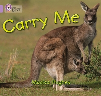 Book Cover for Carry Me by Monica Hughes