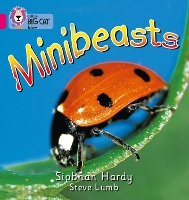 Book Cover for Minibeasts by Siobhan Hardy