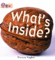 Book Cover for What's Inside? by Monica Hughes