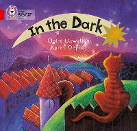 Book Cover for In the Dark by Claire Llewellyn