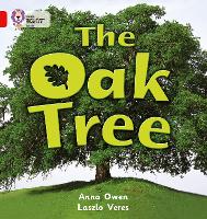 Book Cover for The Oak Tree by Anna Owen