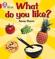 Book Cover for What Do You Like? by Anna Owen