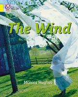 Book Cover for The Wind by Monica Hughes