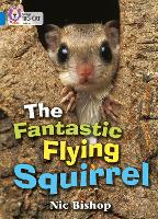 Book Cover for The Fantastic Flying Squirrel by Nic Bishop