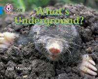 Book Cover for What’s Underground by Gill Munton