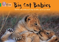 Book Cover for Big Cat Babies by Jonathan Scott, Angela Scott