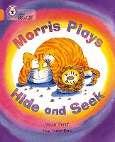 Book Cover for Morris Plays Hide and Seek by Vivian French