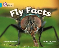 Book Cover for Fly Facts by Janice Marriott