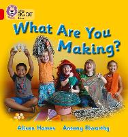 Book Cover for What Are You Making? by Alison Hawes