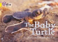 Book Cover for The Baby Turtle by Andy Belcher, Angie Belcher