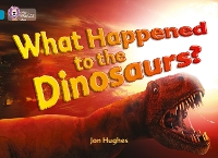 Book Cover for What Happened to the Dinosaurs? by Jon Hughes