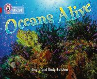 Book Cover for Oceans Alive by Angie Belcher