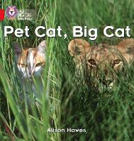 Book Cover for Pet Cat, Big Cat by Alison Hawes