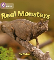 Book Cover for Real Monsters by Nic Bishop