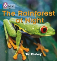 Book Cover for The Rainforest at Night by Nic Bishop