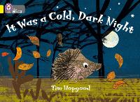Book Cover for It Was a Cold Dark Night by Tim Hopgood