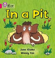 Book Cover for In a Pit by Jane Clarke, Woody Fox