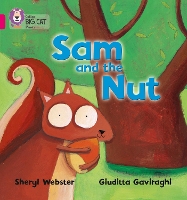 Book Cover for Sam and the Nut by Sheryl Webster, Giuditta Gaviraghi