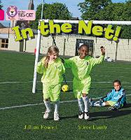 Book Cover for In the Net! by Jillian Powell, Steve Lumb