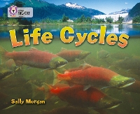 Book Cover for Life Cycles by Sally Morgan