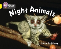 Book Cover for Night Animals by Louise Spilsbury