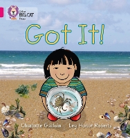 Book Cover for Got It! by Charlotte Guillain