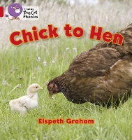 Book Cover for Chick to Hen by Elspeth Graham