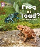 Book Cover for Frog or Toad? by Sue Barraclough