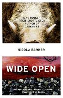 Book Cover for Wide Open by Nicola Barker