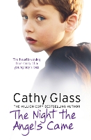 Book Cover for The Night the Angels Came by Cathy Glass