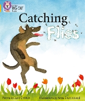 Book Cover for Catching Flies by June Crebbin