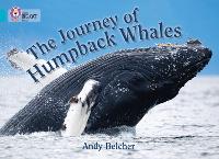 Book Cover for The Journey of Humpback Whales by Andy Belcher