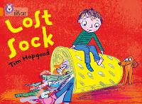 Book Cover for The Lost Sock by Tim Hopgood