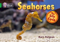 Book Cover for Seahorses by Mara Bergman