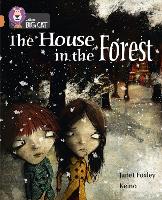 Book Cover for The House in the Forest by Janet Foxley