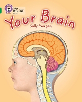 Book Cover for Your Brain by Sally Morgan