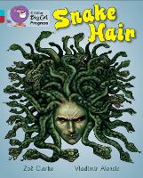Book Cover for Snake Hair by Zoë Clarke