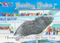 Book Cover for Watching Whales by Karen Romano Young