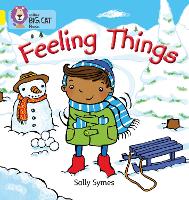 Book Cover for FEELING THINGS by Sally Symes