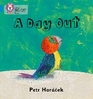 Book Cover for A Day Out by Petr Horácek