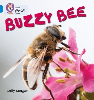 Book Cover for Buzzy Bees by Sally Morgan