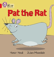 Book Cover for PAT THE RAT by Honor Head
