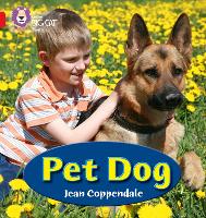 Book Cover for PET DOG by Jean Coppendale