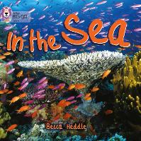 Book Cover for In the Sea by Rebecca Heddle