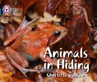 Book Cover for Animals in Hiding by Charlotte Guillain