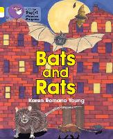 Book Cover for Bats and Rats by Karen Romano Young