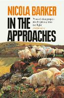 Book Cover for In the Approaches by Nicola Barker