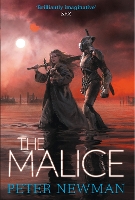 Book Cover for The Malice by Peter Newman