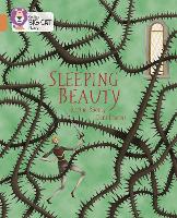 Book Cover for Sleeping Beauty by Rachel Rooney